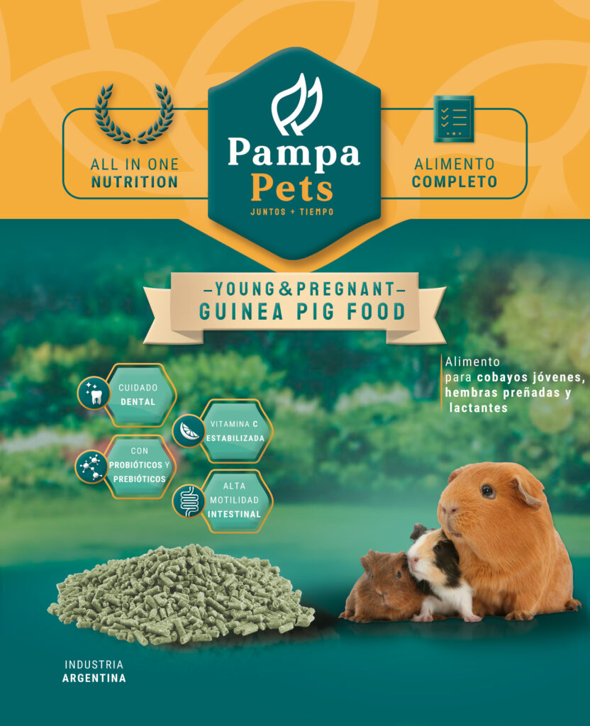 Guinea Pig JOVEN Pampa Pets